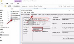 狗熊皮肤爆料视频下载安装,揭秘游戏新内容与玩法
